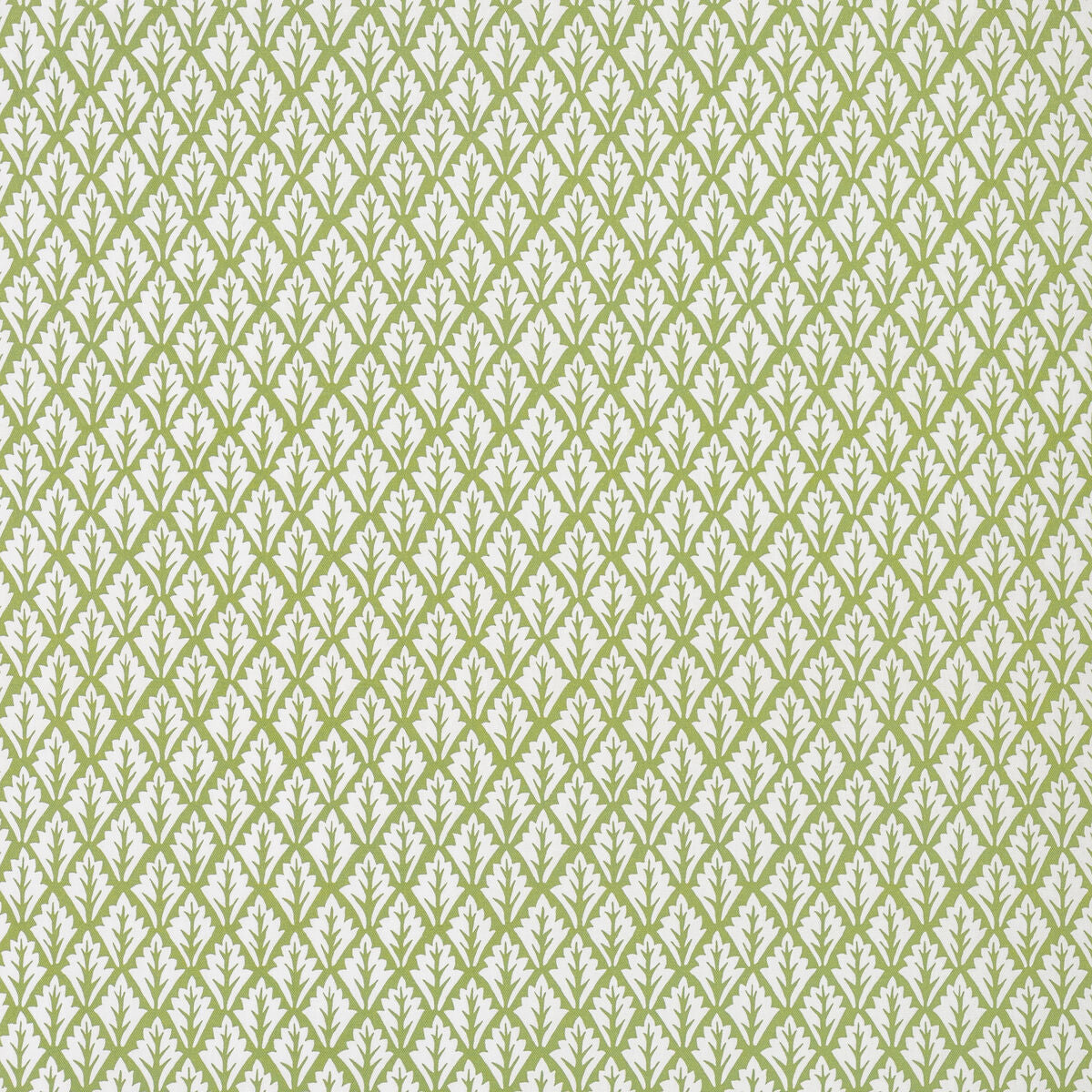 Dorso - Olive - Kravet Basics Fabric