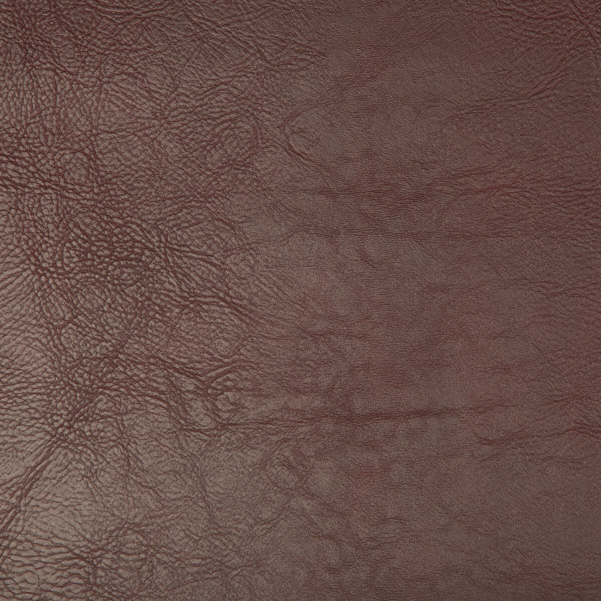 Kravet Design - Duane-9 - Kravet Design Fabric