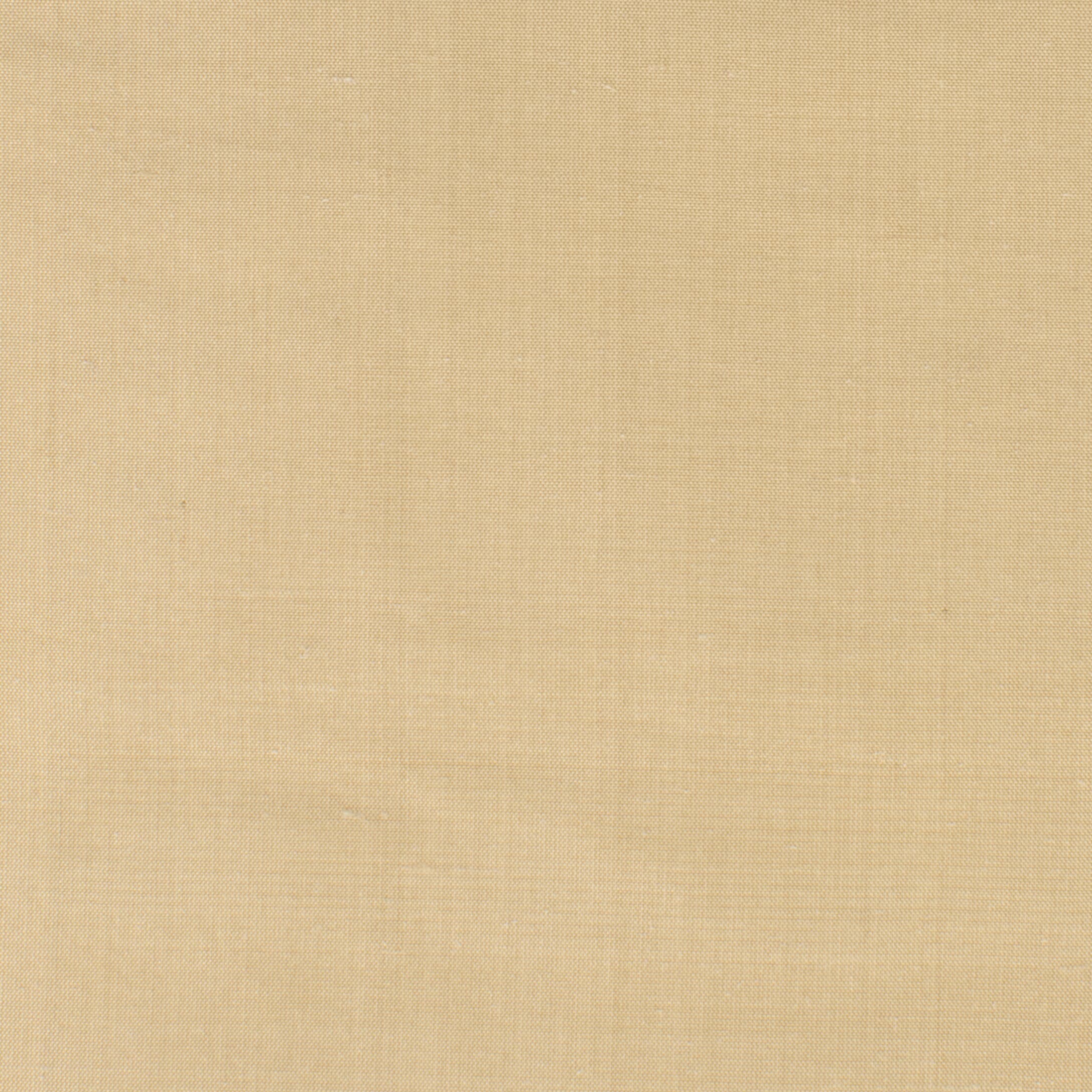 DUPIONI-17-CHAMOIS-STOUT-TEXTILES - Stout Textiles Fabric
