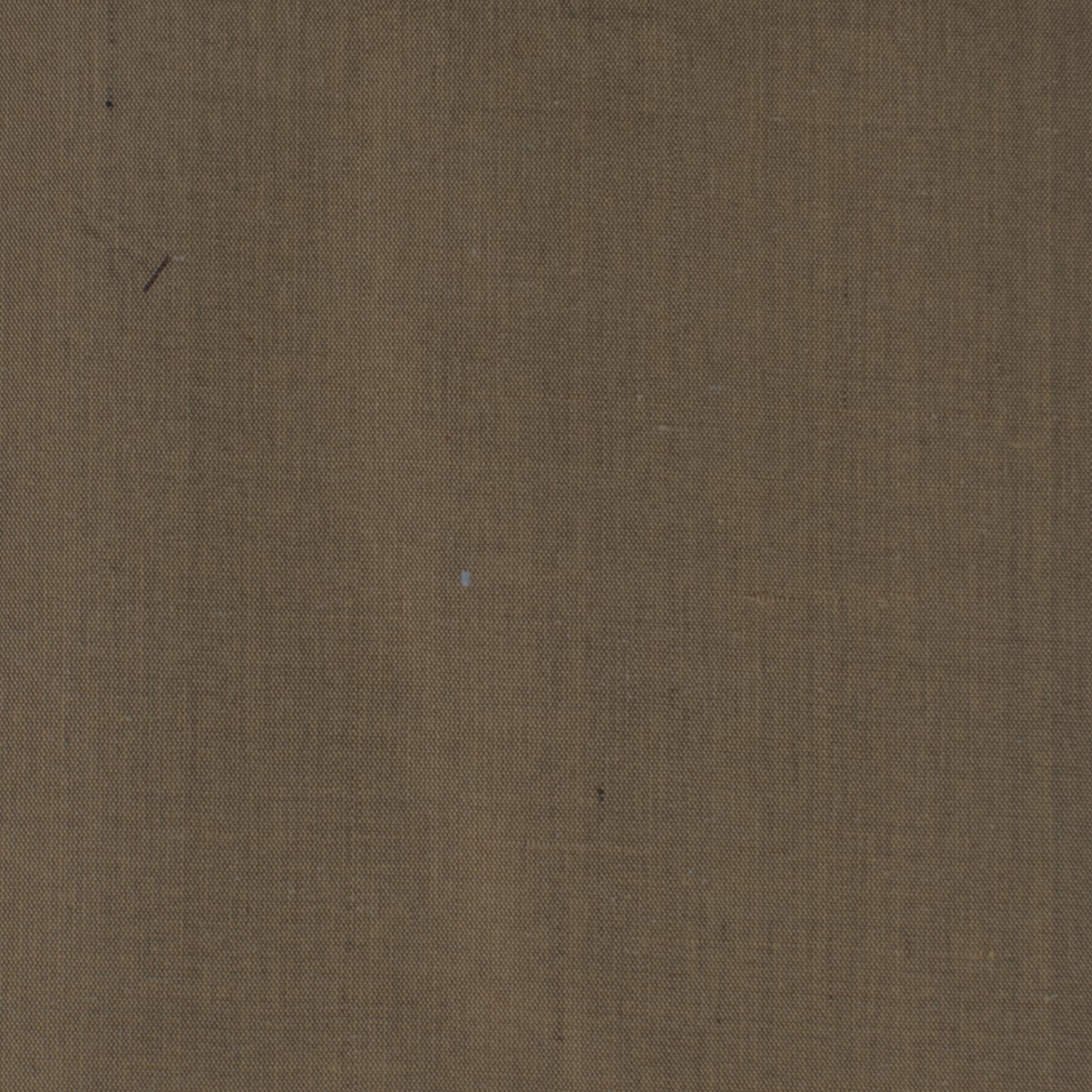 Dupioni 79 Mushroom by Stout Fabric