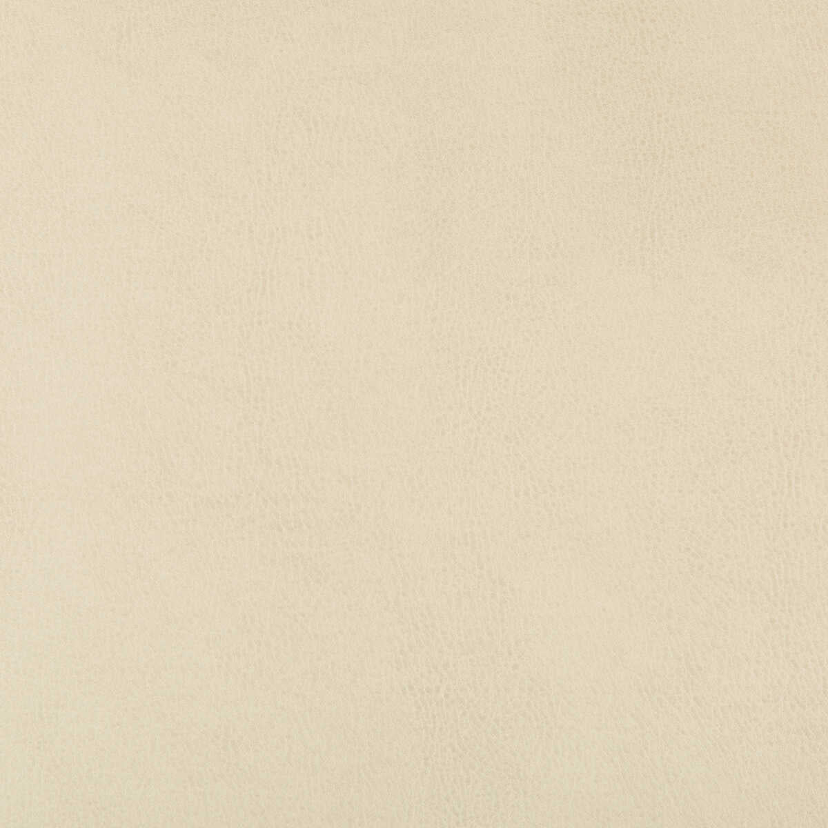 Kravet Design - Dust-116 - KRAVET DESIGN Fabric