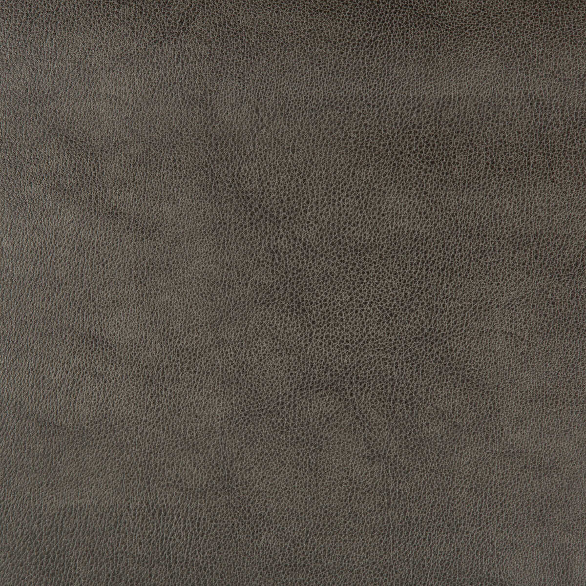 Kravet Design - Dust-21 - KRAVET DESIGN Fabric
