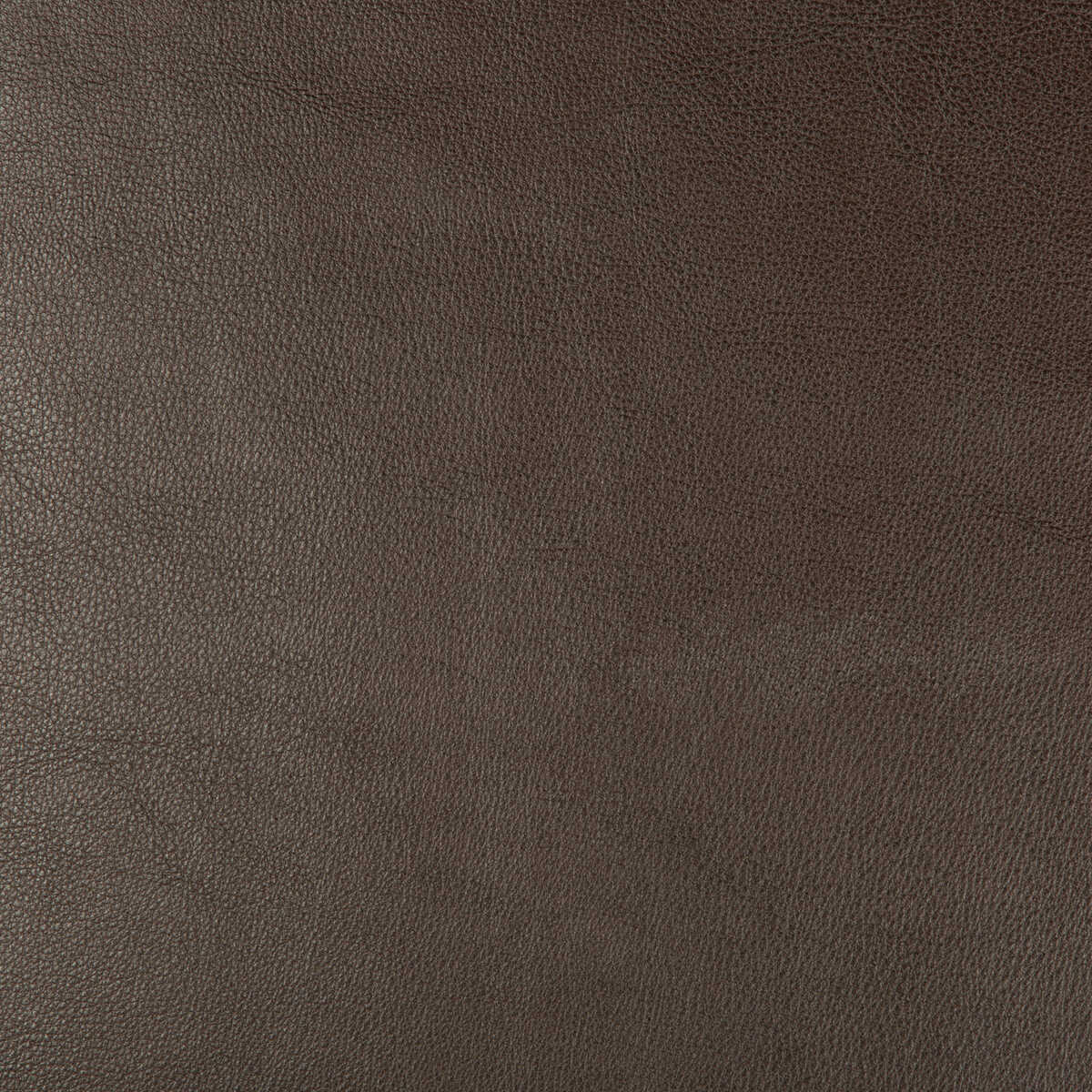 Kravet Design - Dust-66 - KRAVET DESIGN Fabric
