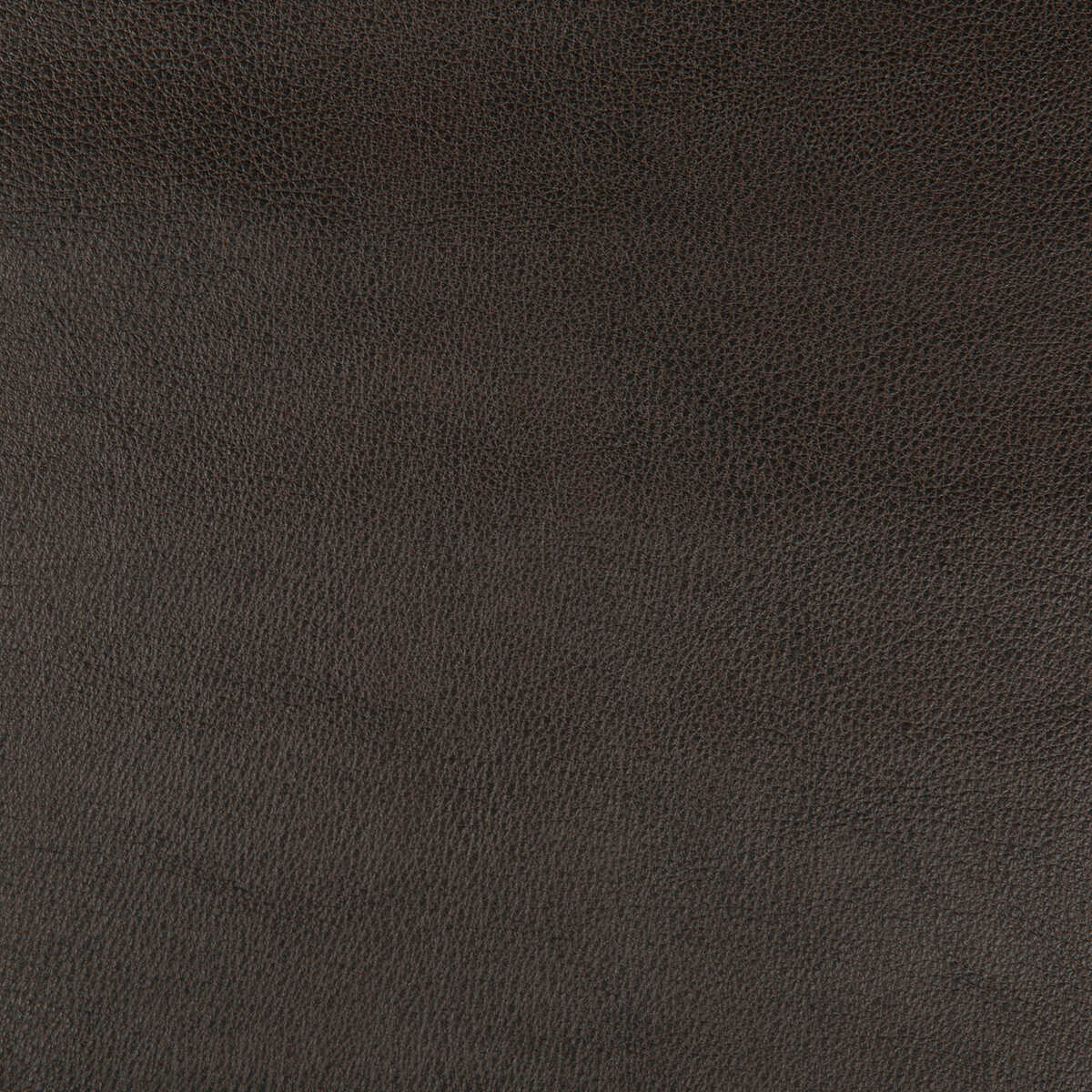 Kravet Design - Dust-86