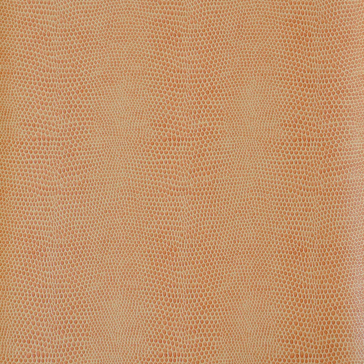 Kravet Design - Derek-616