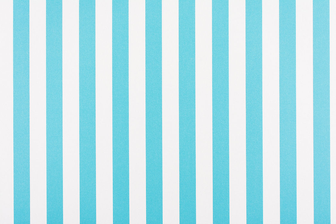 Awning Stripe - Turquoise