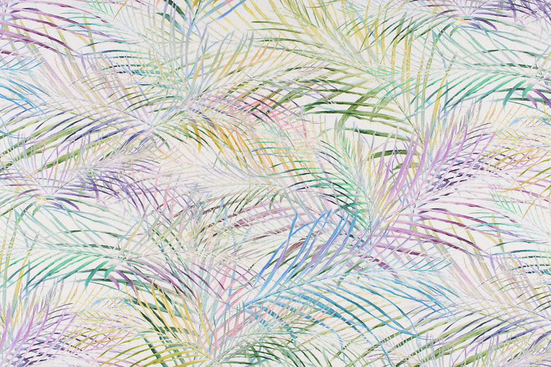 Palmitos - Frond