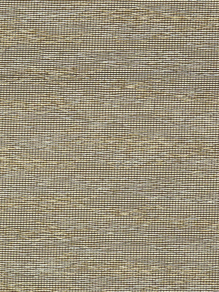 Untitled Sheer - Caramel