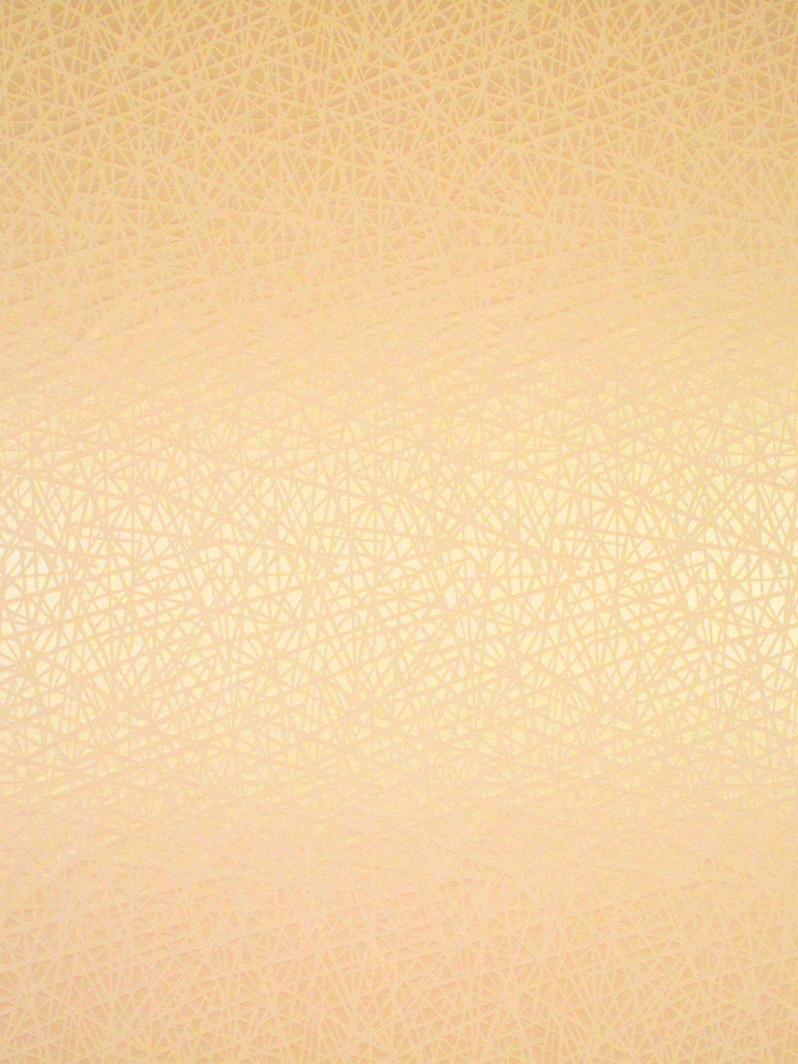 Streets - Cipria - Scalamandre Fabric