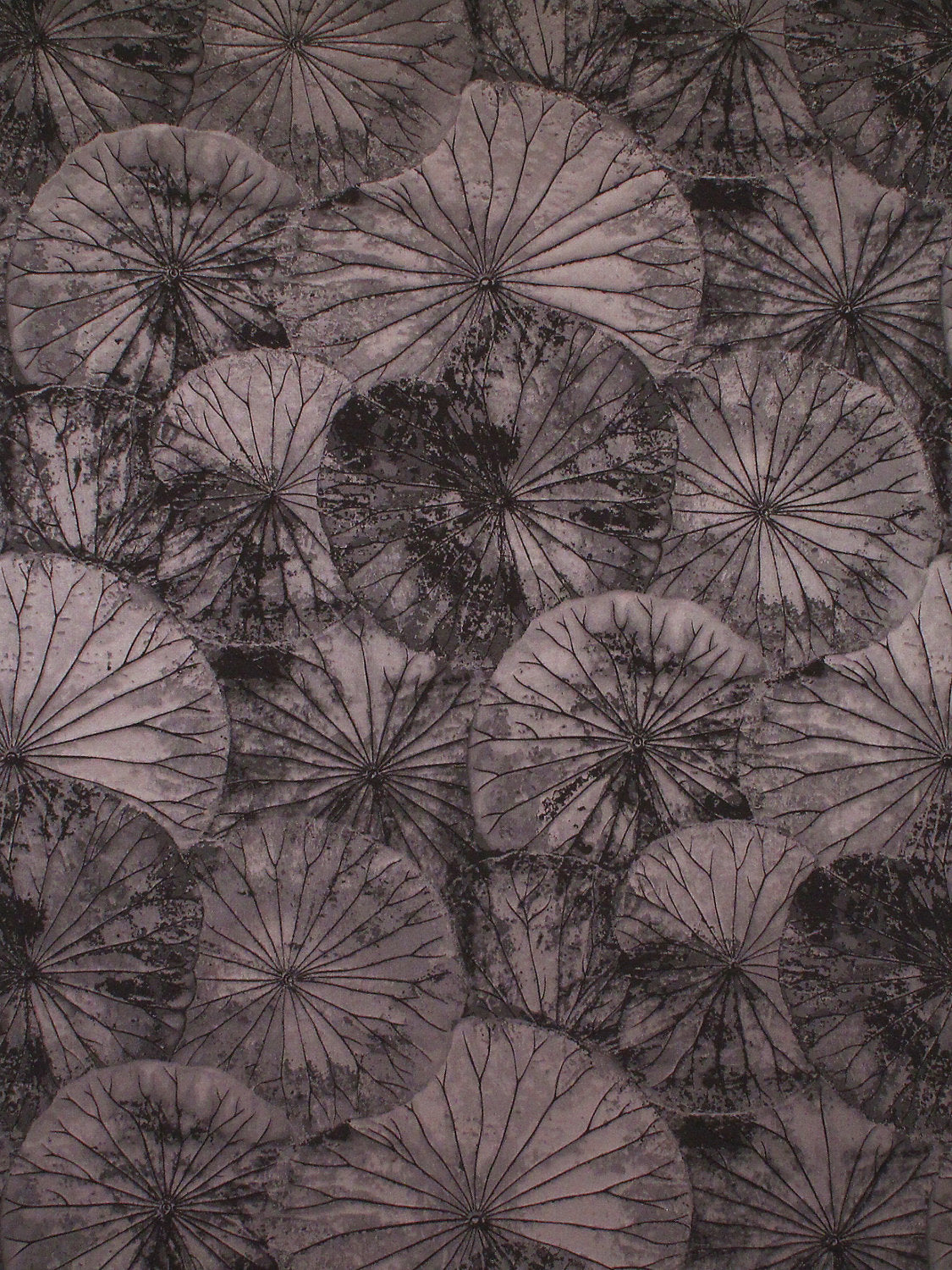 Lotus - Fudge - Scalamandre Fabric