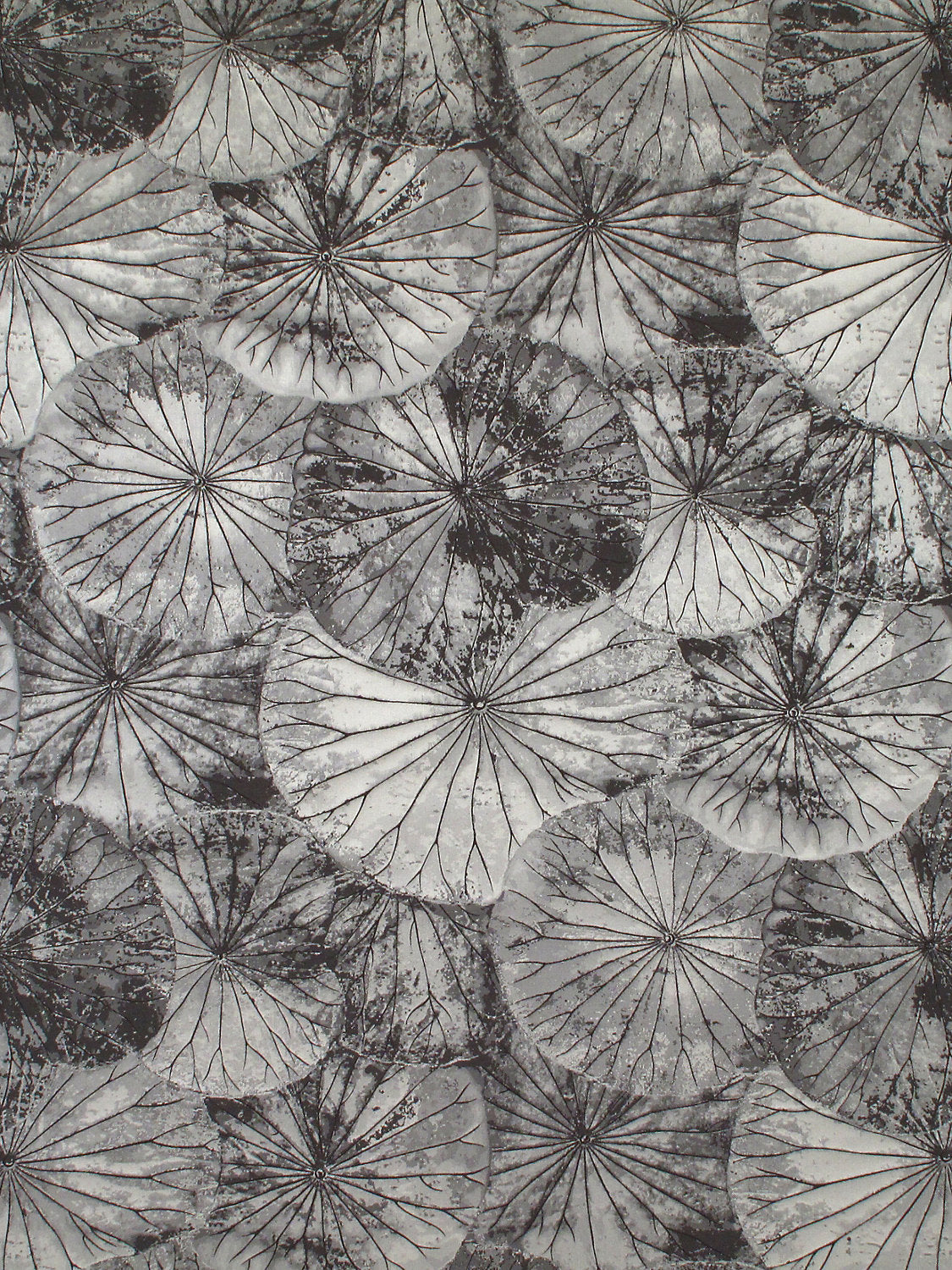 Lotus - Espresso - Scalamandre Fabric