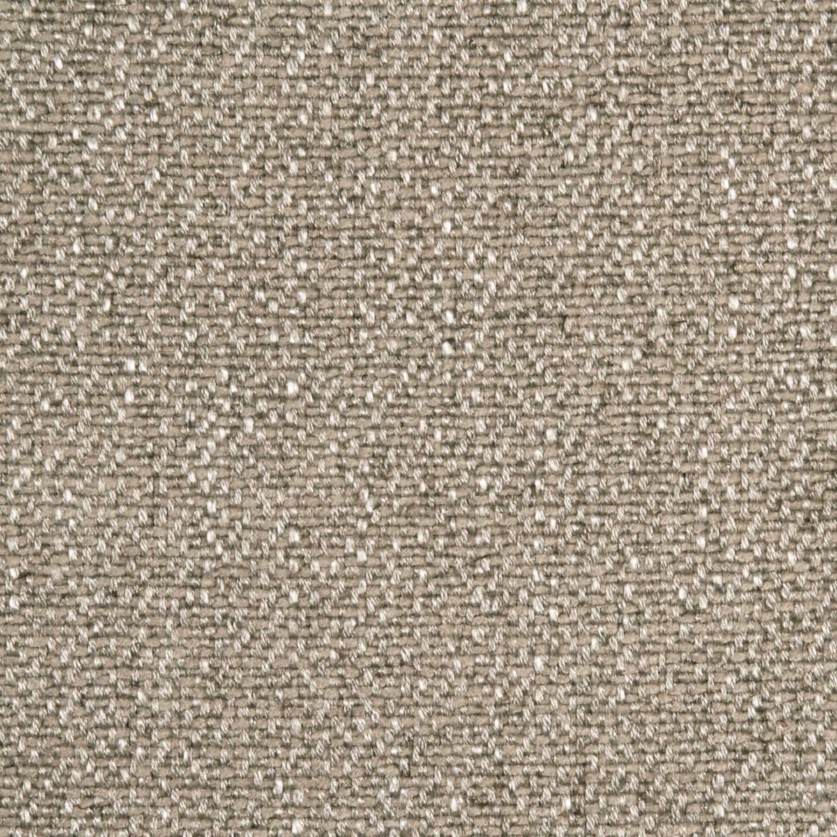 Verdure - Oatmeal - THREADS Tela