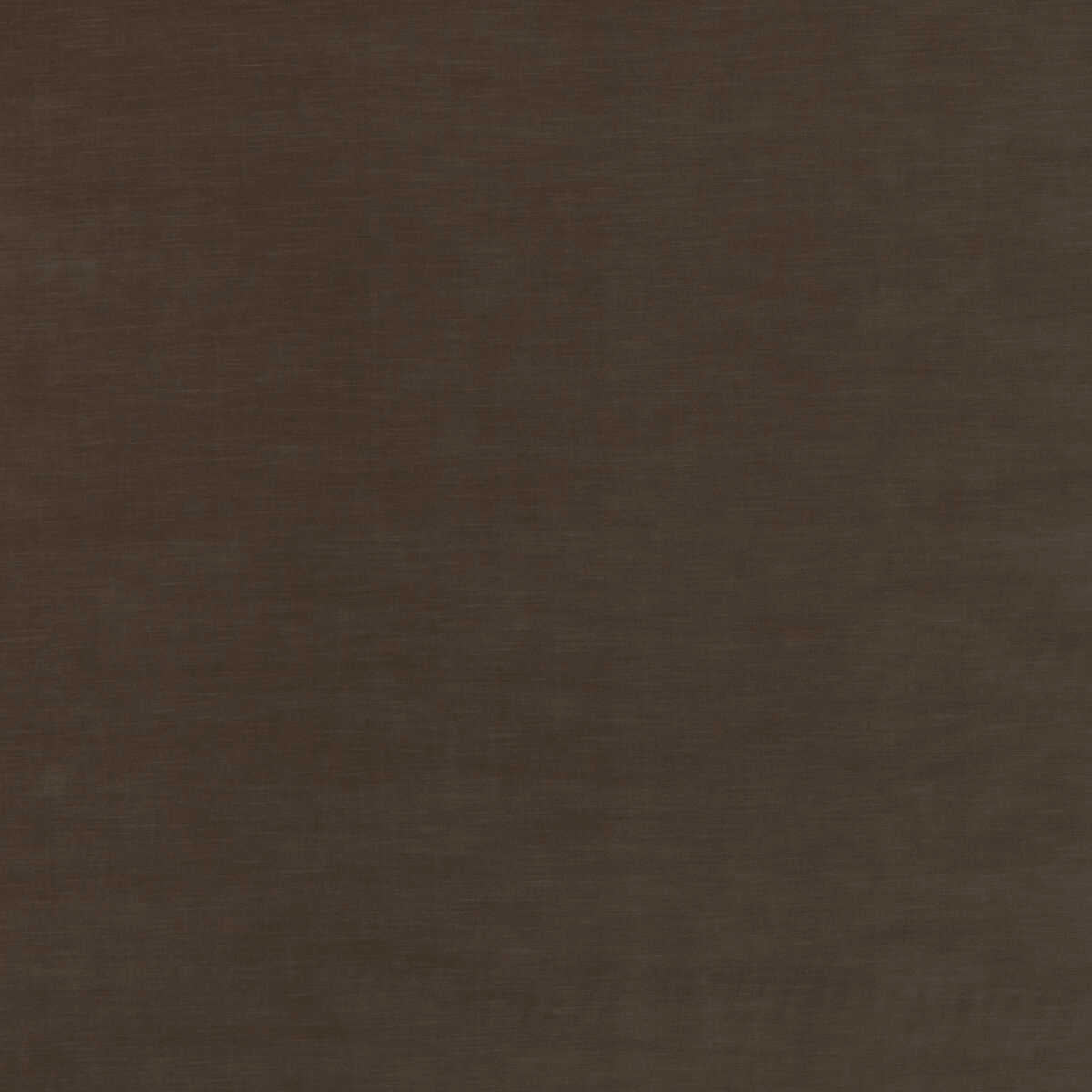 Quintessential Velvet - Mocha - THREADS Tela