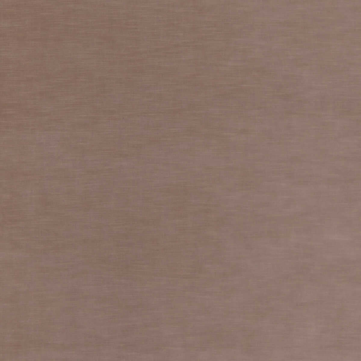 Quintessential Velvet - Mole - THREADS Tela