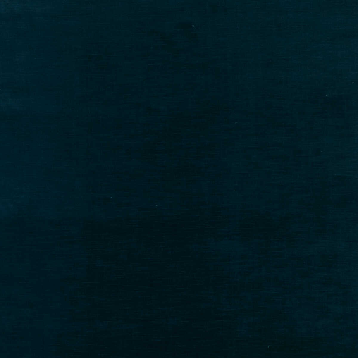Quintessential Velvet - Midnight - THREADS Tela