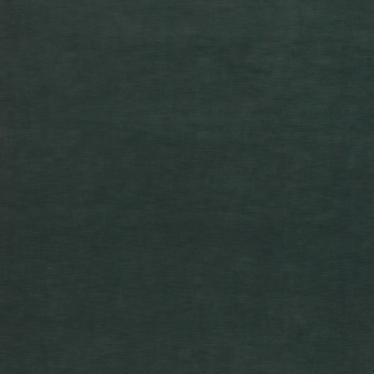 Quintessential Velvet - Aqua - THREADS Tela