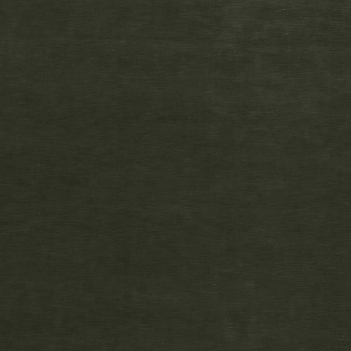 Quintessential Velvet - Bottle - THREADS Tela