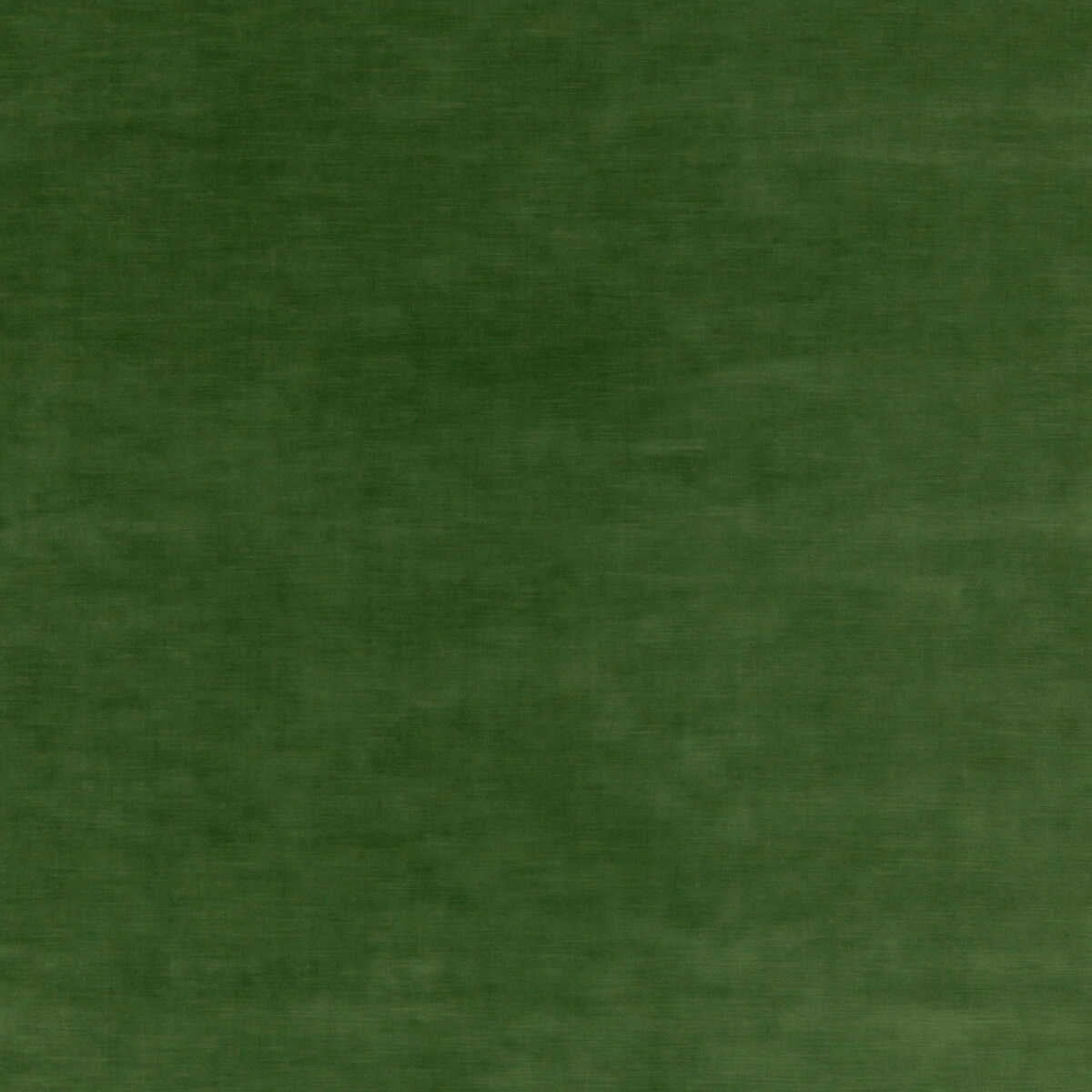 Quintessential Velvet - Forest - THREADS Tela