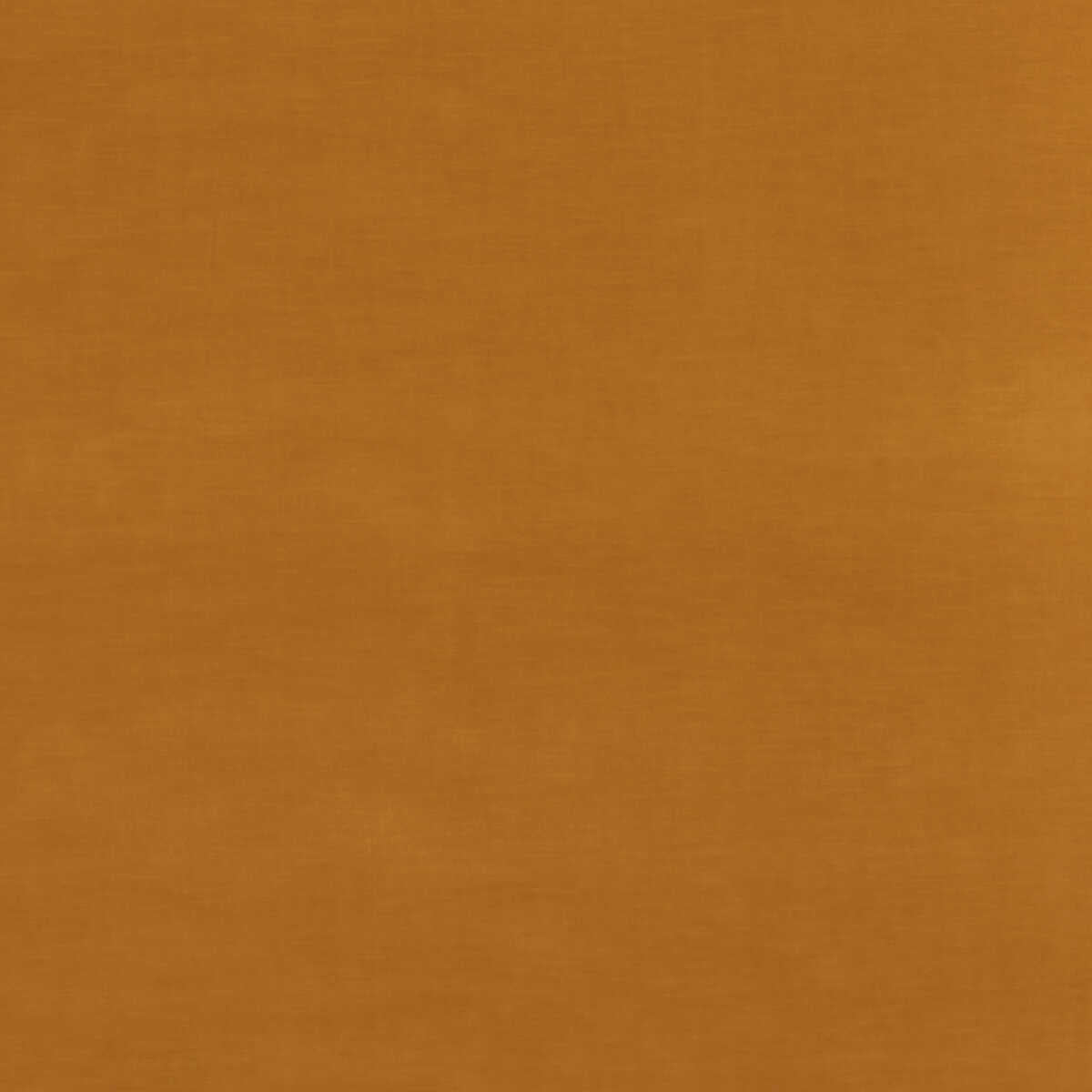 Quintessential Velvet - Ochre - THREADS Tela