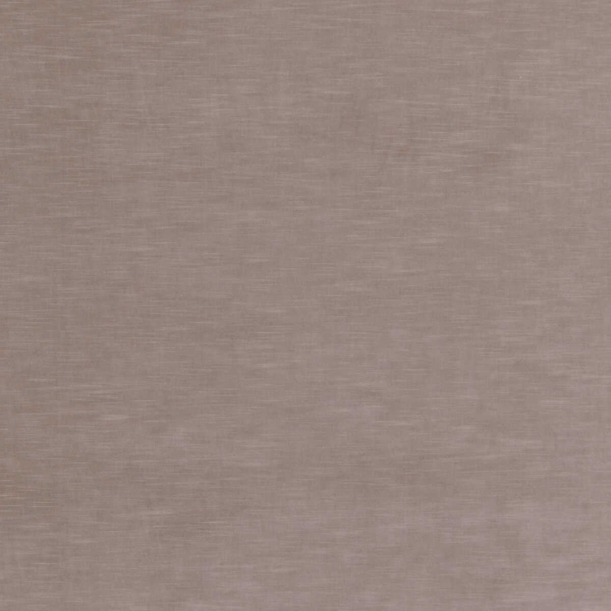 Quintessential Velvet - Ash - THREADS Tela