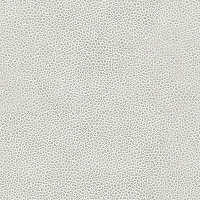 Edgyshark110 Edgy Shark Platinum Kravet Couture Fabric