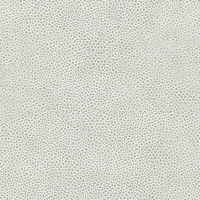 Edgy Shark - Platinum - KRAVET COUTURE Fabric