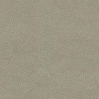 Edgyshark210 Edgy Shark Nickel Kravet Couture Fabric