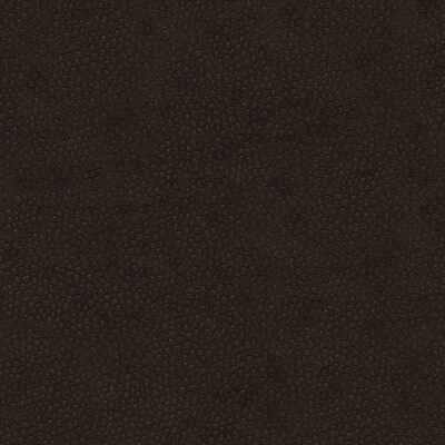Edgy Shark - Espresso - KRAVET COUTURE Fabric