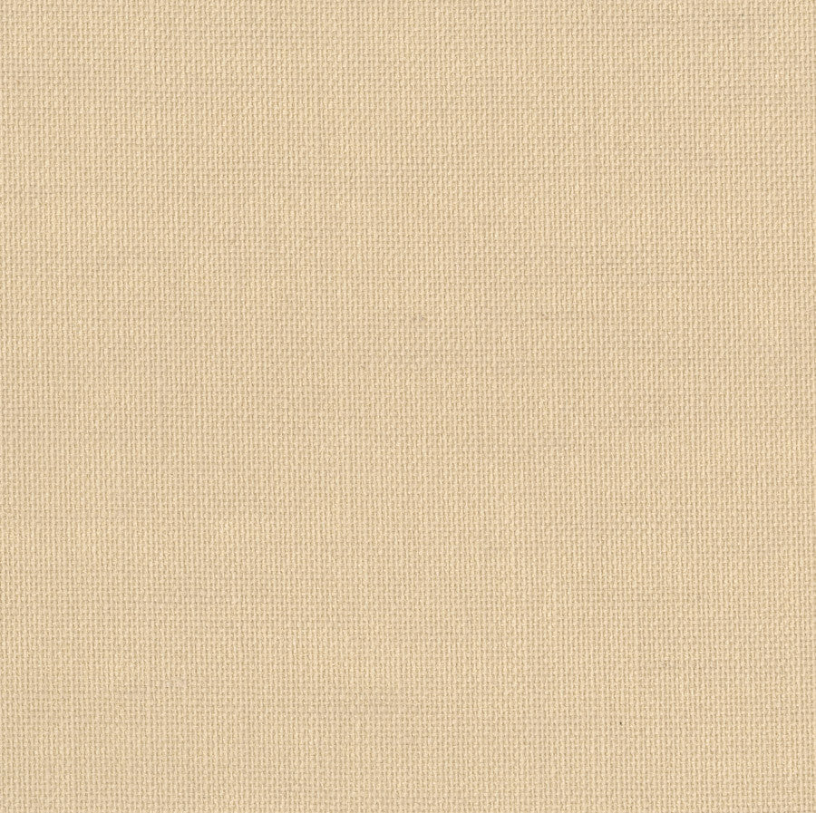 empire-emr-01-avila-innovations - Innovations Wallpaper