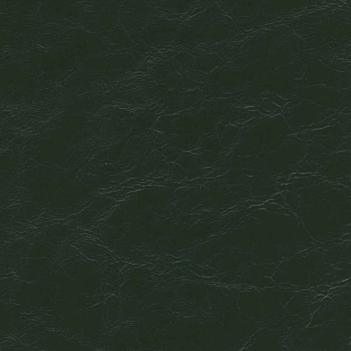 Kravet Design - Equine-3 - KRAVET DESIGN Tela