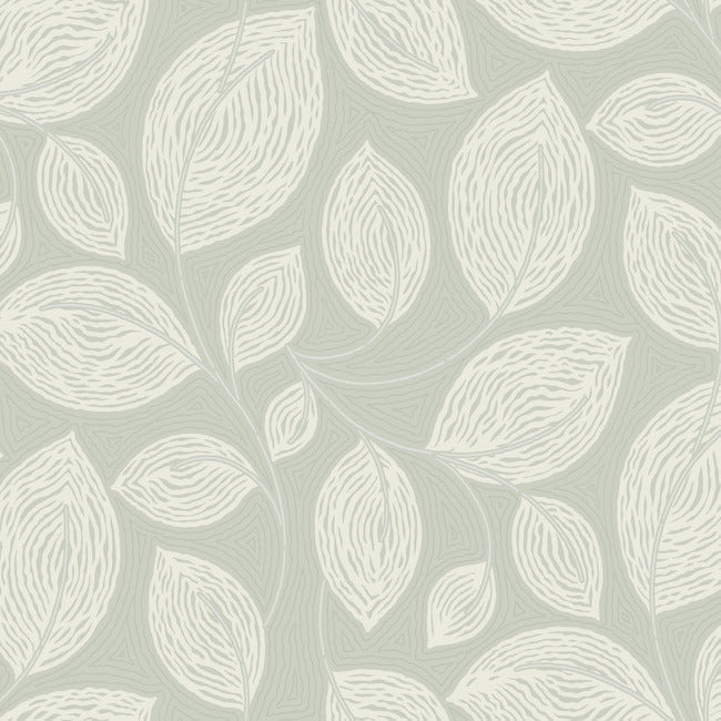 contoured-leaves-wallpaper-green-york-wallcoverings-ev3921