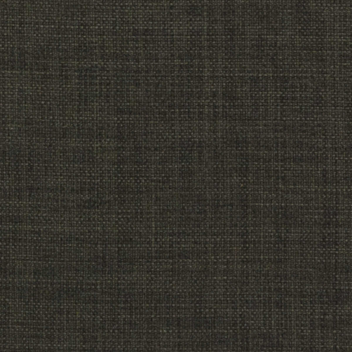 Linoso - Charcoal