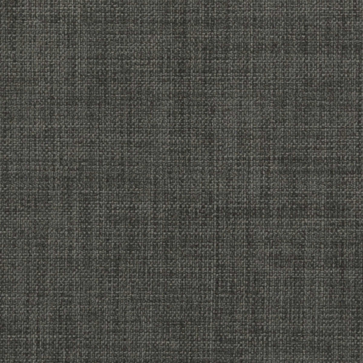 Linoso - Graphite