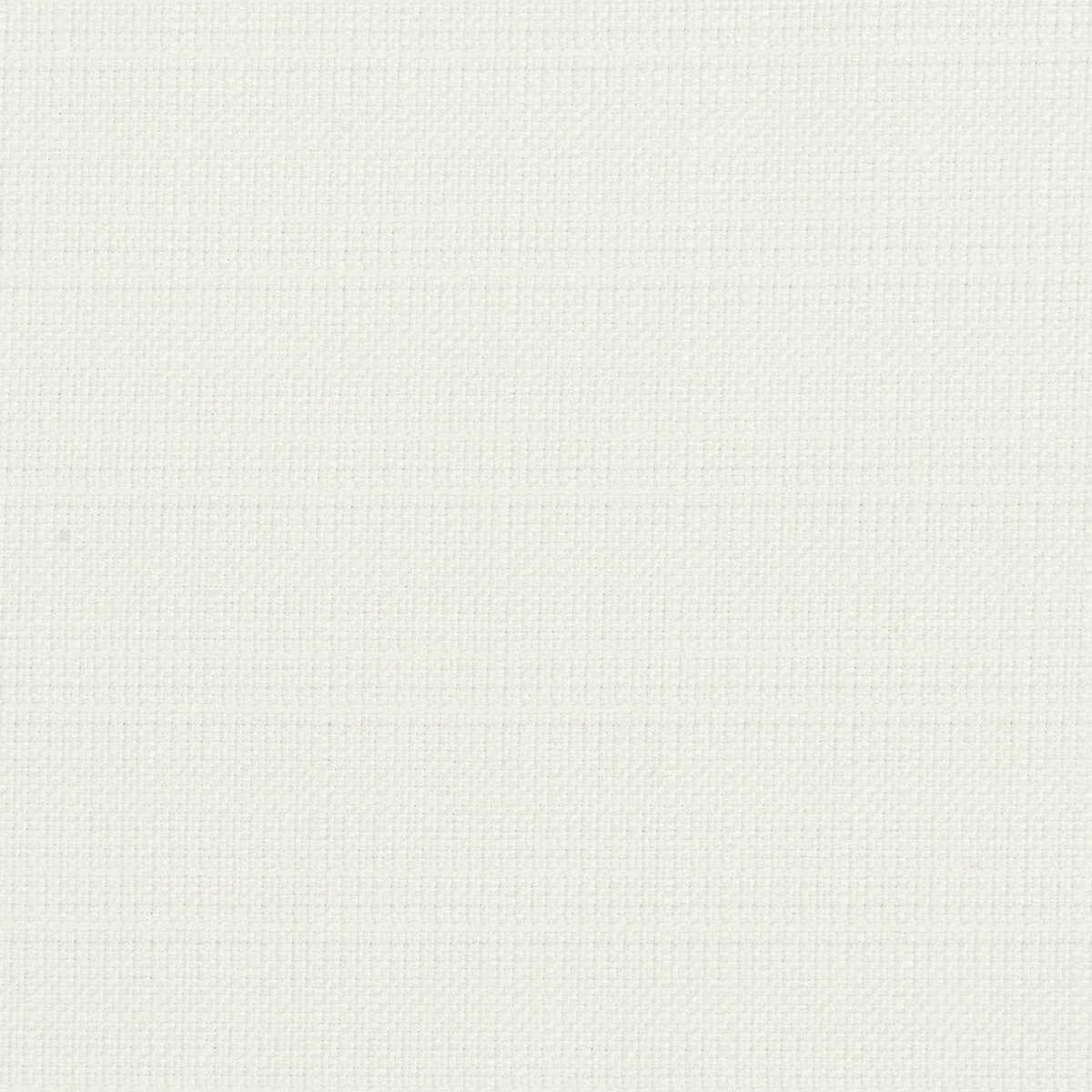 Linoso - Polar - CLARKE AND CLARKE Fabric