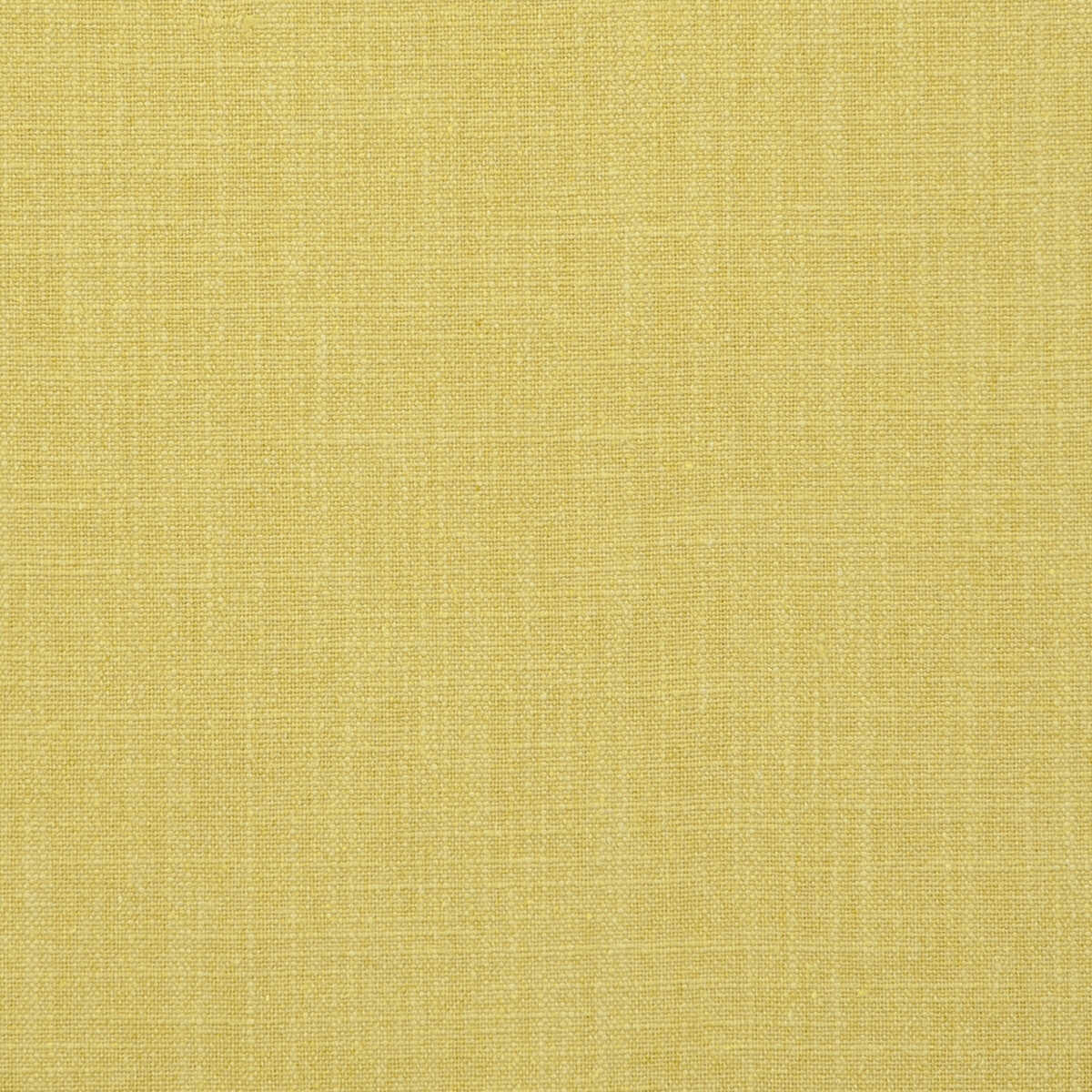 Easton - Acacia - CLARKE AND CLARKE Fabric