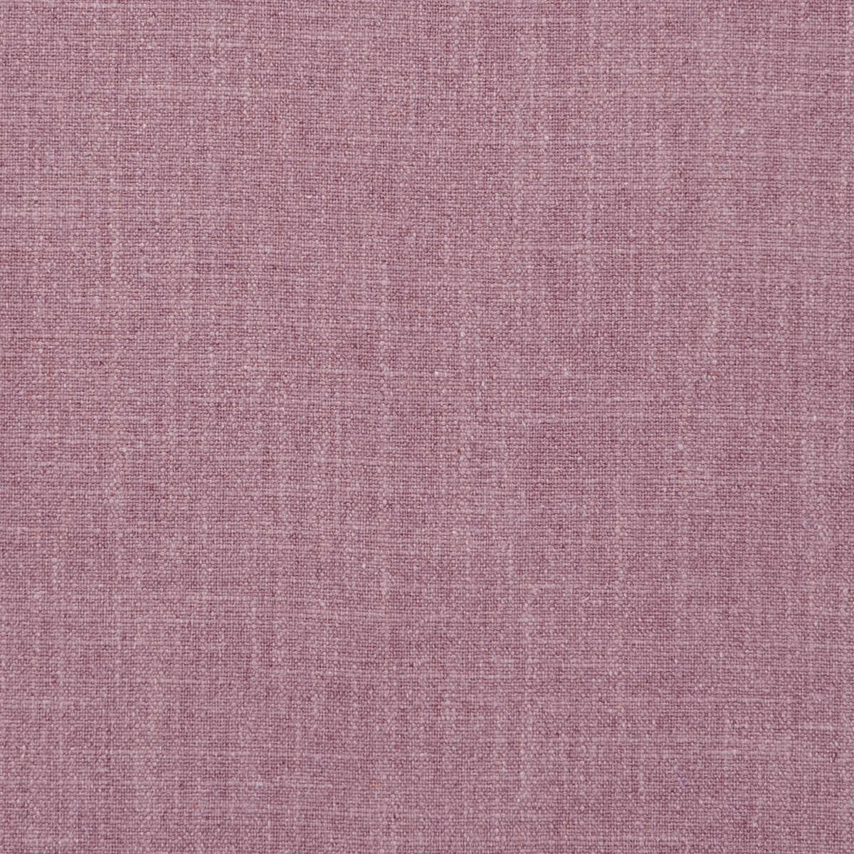 Easton - Orchid - CLARKE AND CLARKE Tela