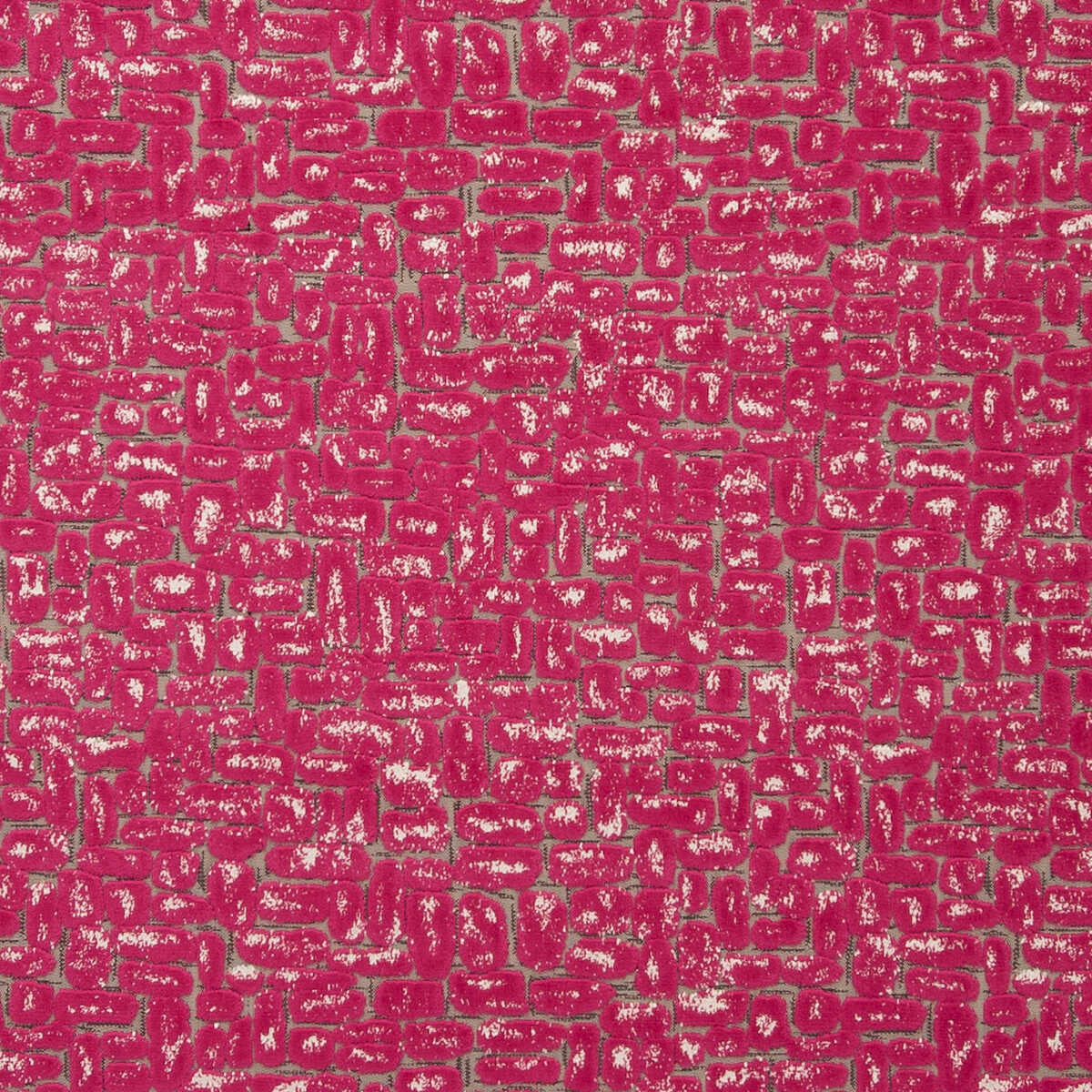 Moda - Fuchsia - CLARKE AND CLARKE Fabric