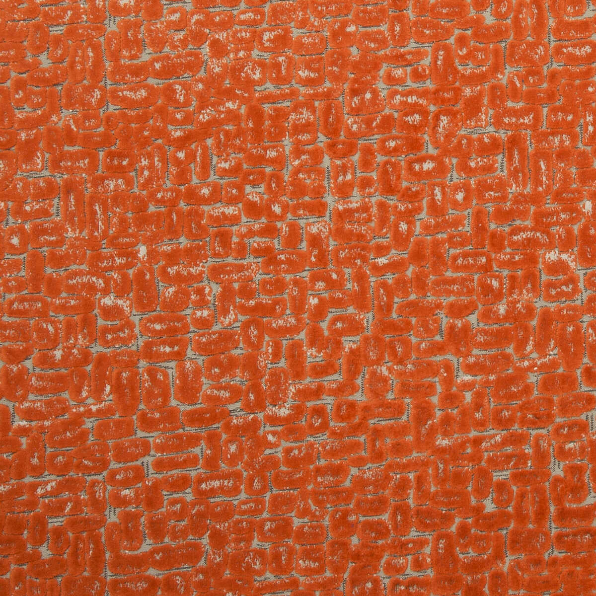 Moda - Spice - CLARKE AND CLARKE Fabric
