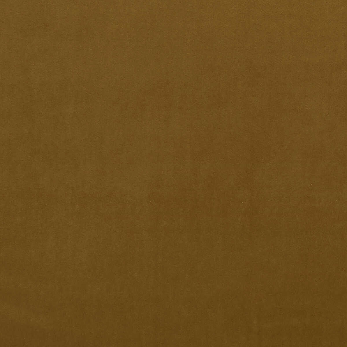 Alvar - Turmeric