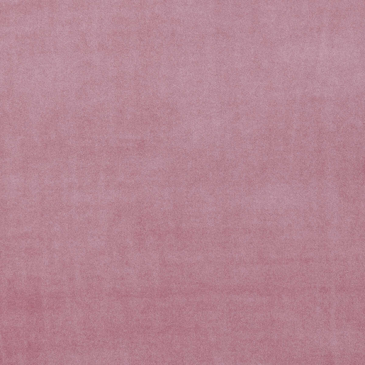 Alvar - Blush - CLARKE AND CLARKE Fabric