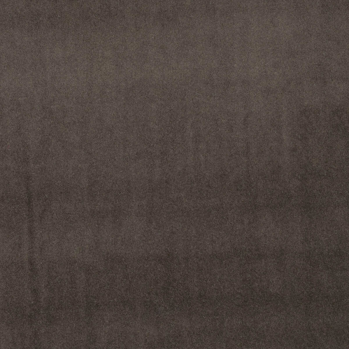 Alvar - Bracken - CLARKE AND CLARKE Fabric