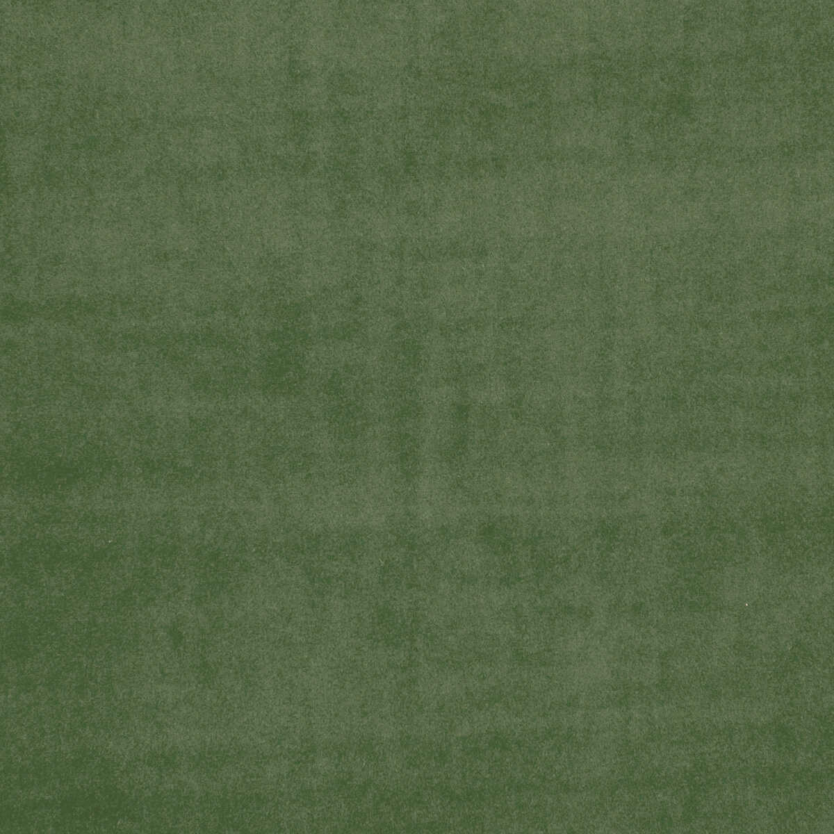 Alvar - Chive