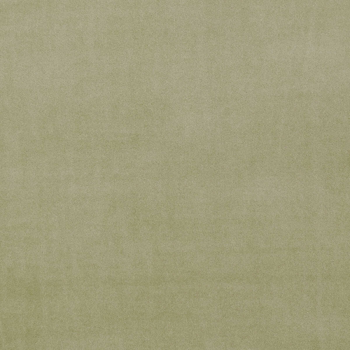 Alvar - Sage - CLARKE AND CLARKE Fabric