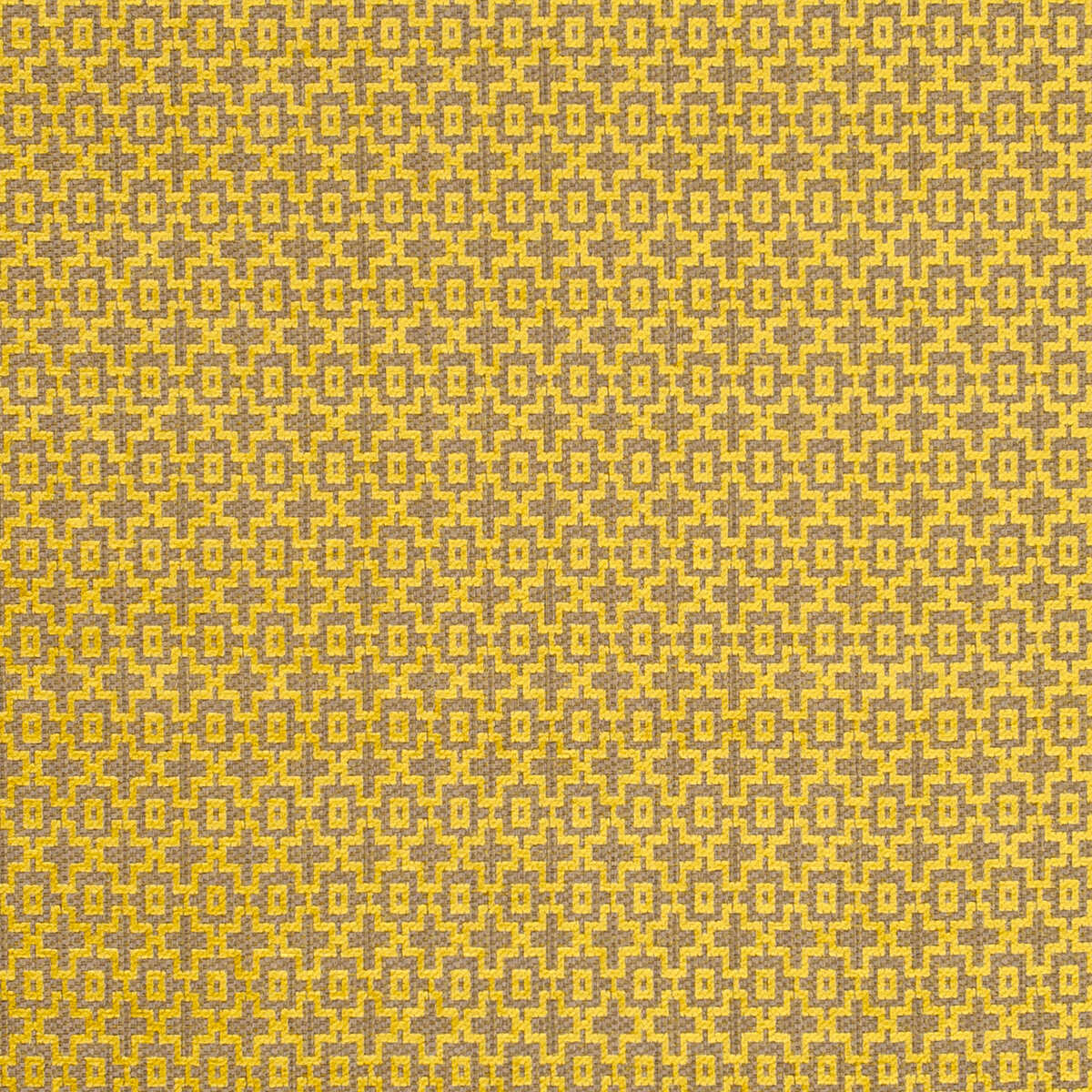 Mansour - Citrus - CLARKE AND CLARKE Tela