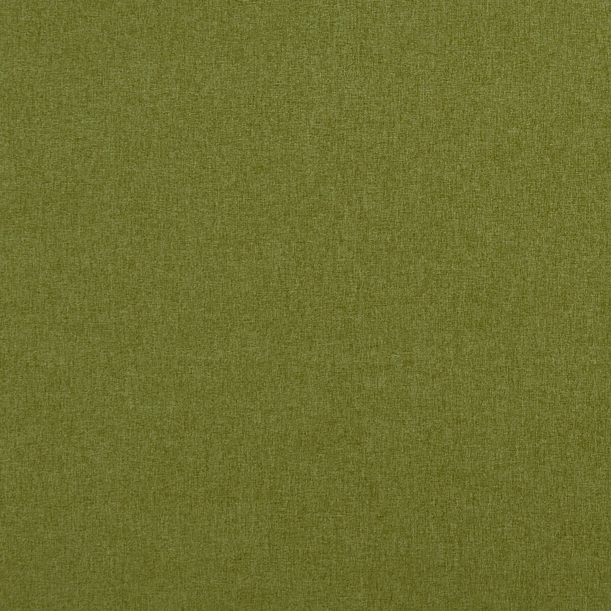 Highlander - Olive