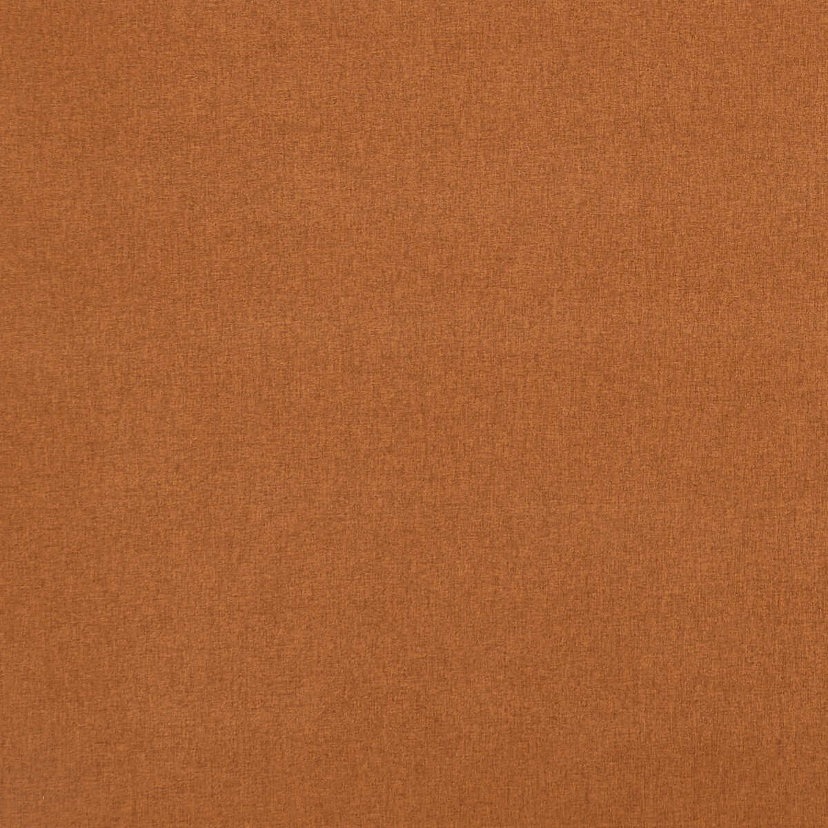Highlander - Spice