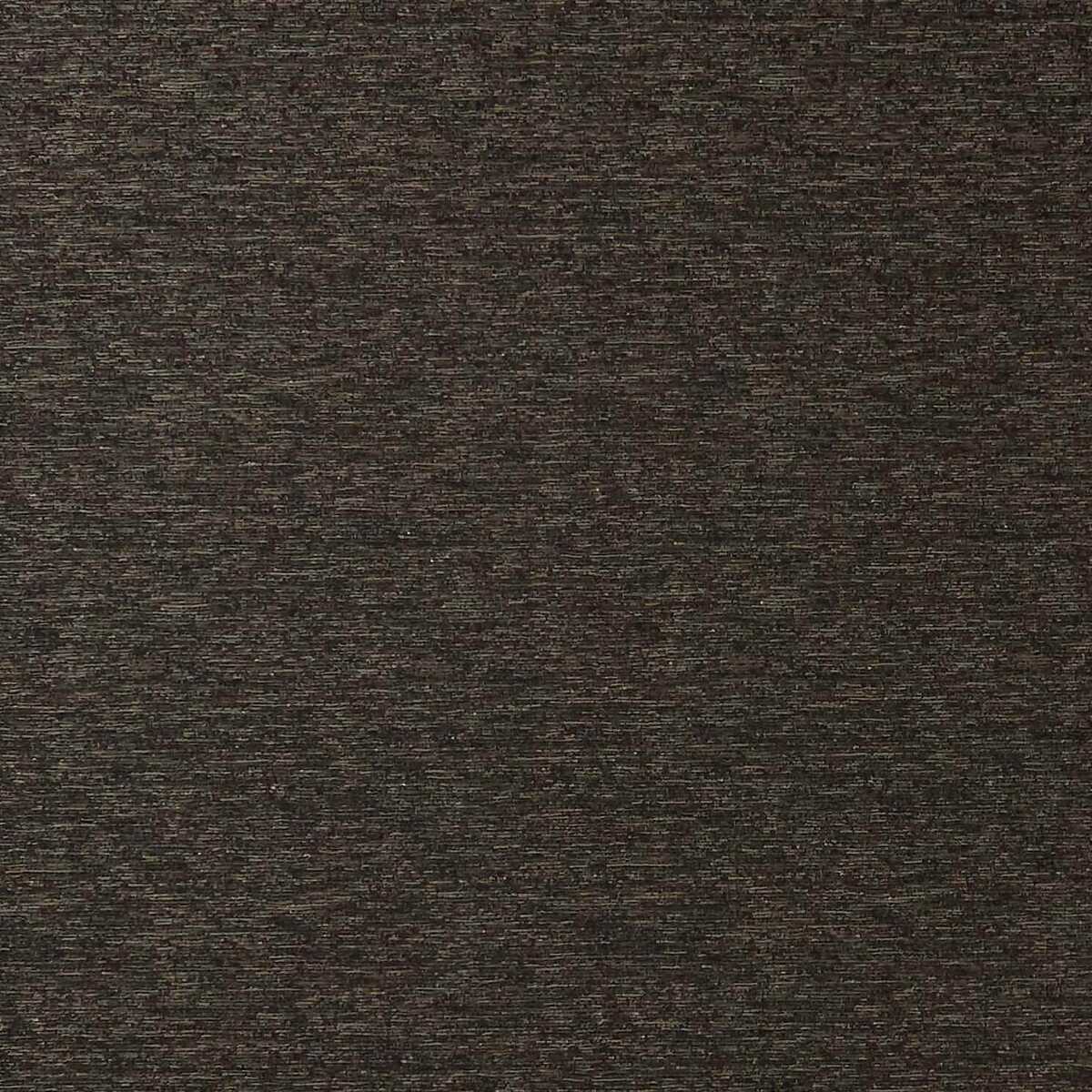 Lucania - Ebony