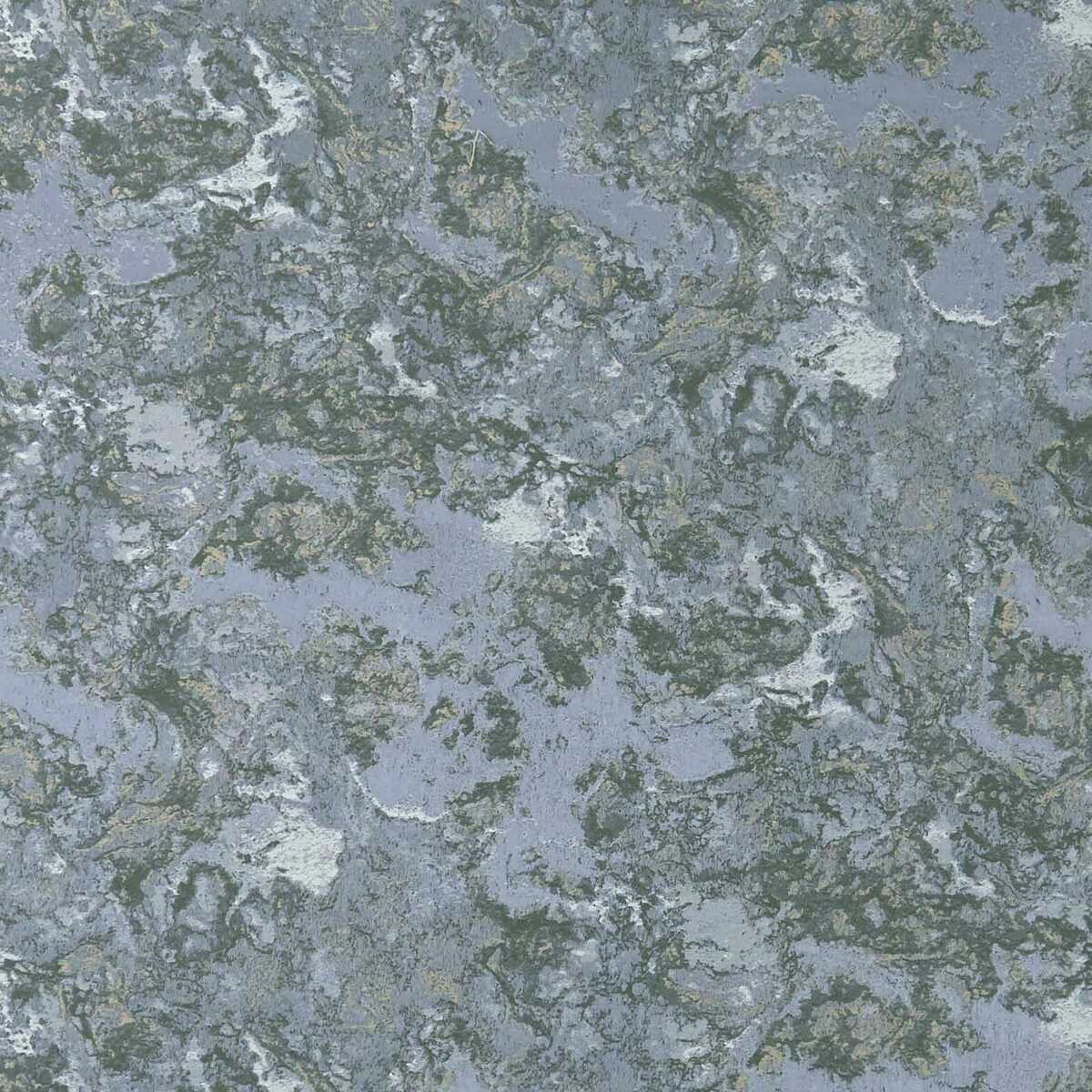 Marmo - Chicory