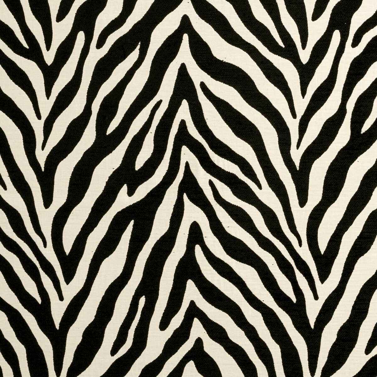 F090201cac0 Bw1029 Black White Clarke And Clarke Fabric