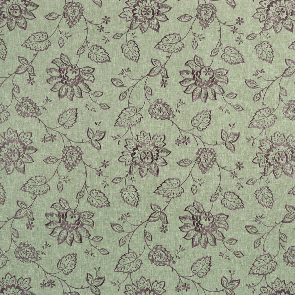 Liliana - Heather
